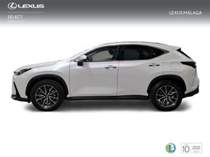 Lexus NX 450h+ Premium+ 4WD  - Foto 4