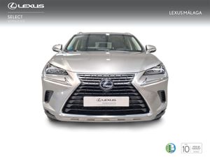 Lexus NX 2.5 300h Business Navigation 2WD  - Foto 6