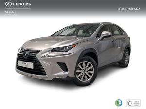 Lexus NX 2.5 300h Business Navigation 2WD  - Foto 2