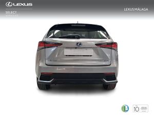 Lexus NX 2.5 300h Business Navigation 2WD  - Foto 5
