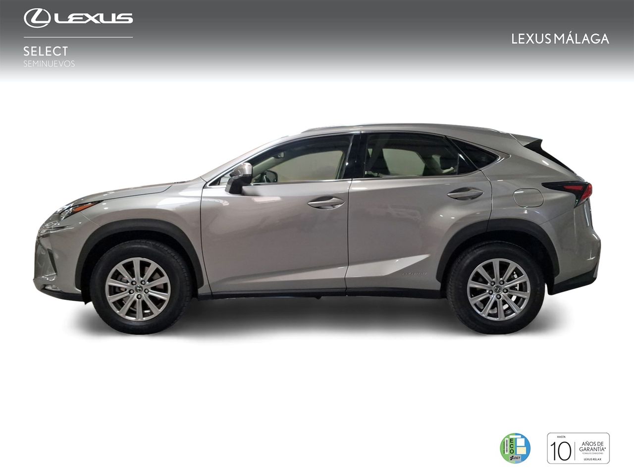 Lexus NX 2.5 300h Business Navigation 2WD  - Foto 4