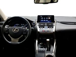 Lexus NX 2.5 300h Business Navigation 2WD  - Foto 9