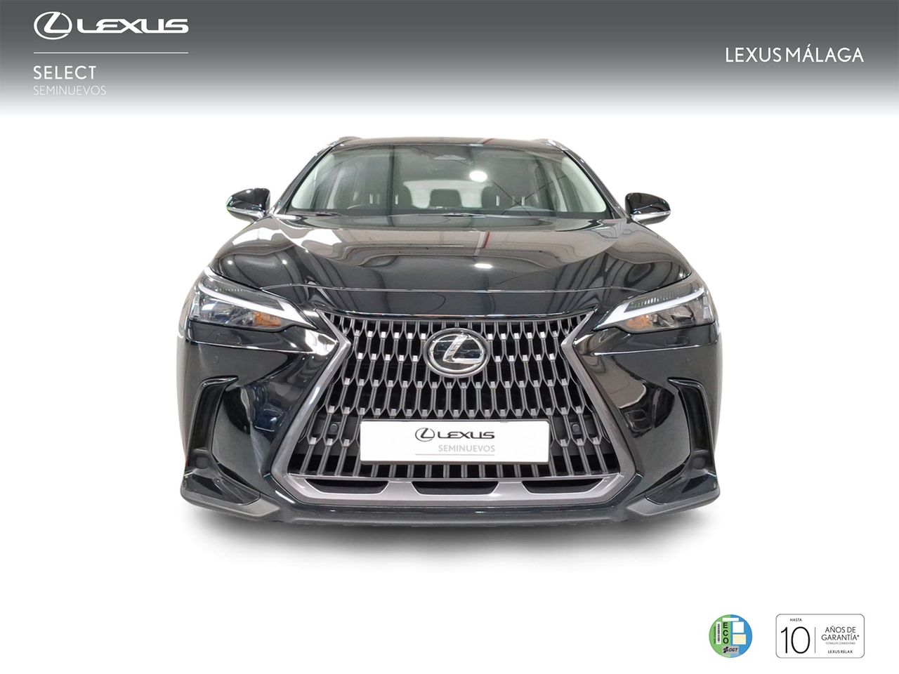 Lexus NX 350h Business City 2WD  - Foto 6