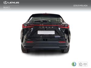 Lexus NX 350h Business City 2WD  - Foto 5