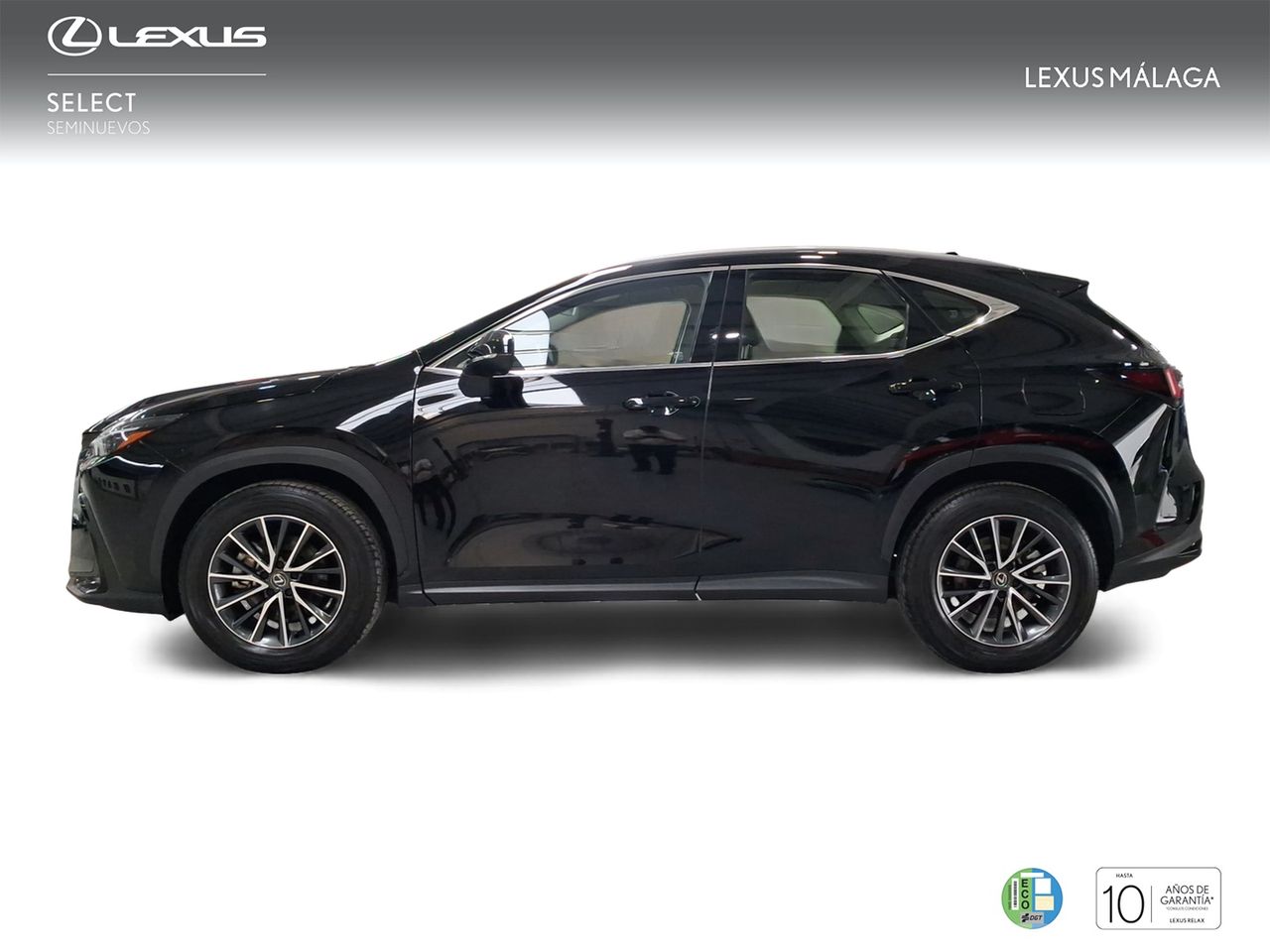 Lexus NX 350h Business City 2WD  - Foto 4