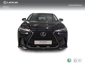 Lexus NX 350h Business City 2WD  - Foto 6