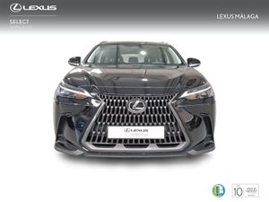 Lexus NX 350h Business City 2WD  - Foto 6