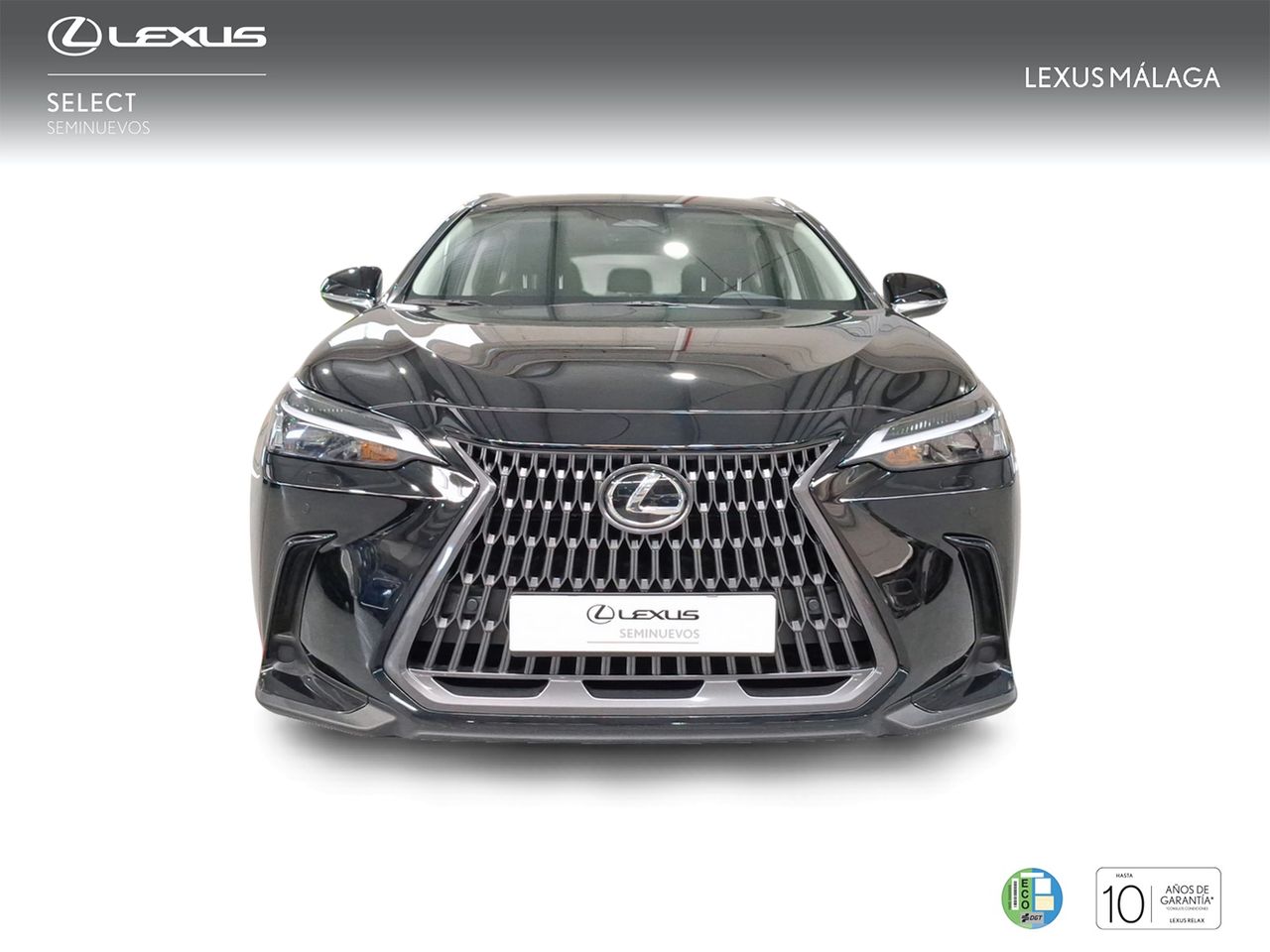Lexus NX 350h Business City 2WD  - Foto 6