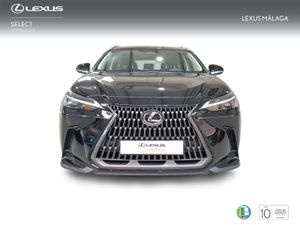 Lexus NX 350h Business City 2WD  - Foto 6