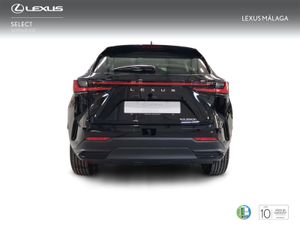 Lexus NX 350h Business City 2WD  - Foto 5