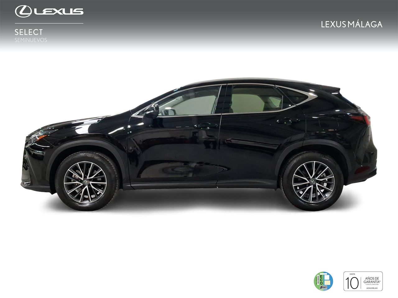Lexus NX 350h Business City 2WD  - Foto 4