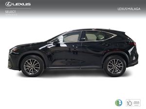 Lexus NX 350h Business City 2WD  - Foto 4