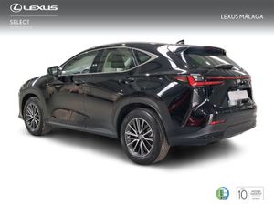 Lexus NX 350h Business City 2WD  - Foto 3