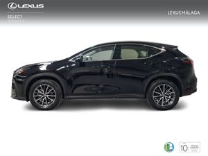 Lexus NX 350h Business City 2WD  - Foto 4