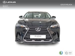 Lexus NX 350h Business City 2WD  - Foto 6