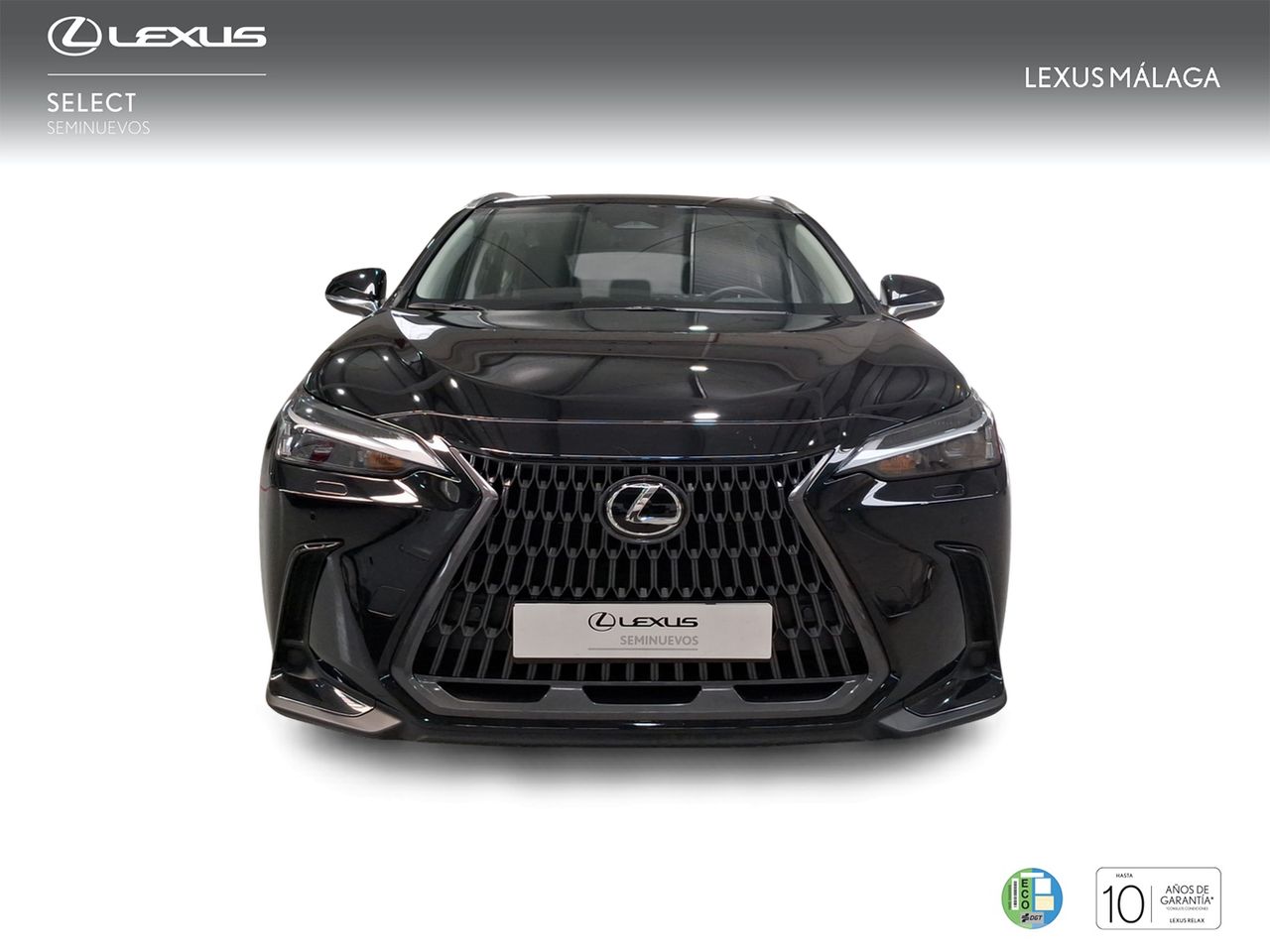 Lexus NX 350h Business City 2WD  - Foto 6