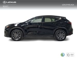 Lexus NX 350h Business City 2WD  - Foto 4