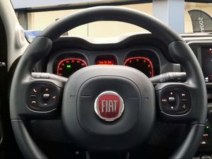 Fiat Panda Cross 1.0 Hybrid 51kw (70CV)  - Foto 15
