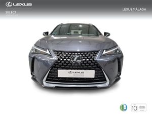 Lexus UX 2.0 250h Business  - Foto 6