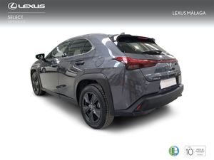 Lexus UX 2.0 250h Business  - Foto 3
