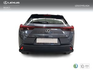 Lexus UX 2.0 250h Business  - Foto 5