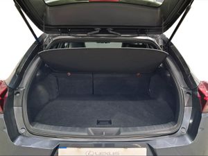 Lexus UX 2.0 250h Business  - Foto 10