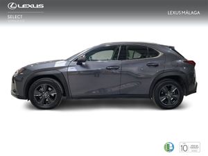Lexus UX 2.0 250h Business  - Foto 4