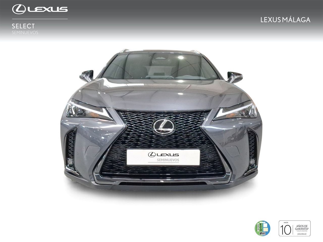 Lexus UX 300h F Sport Legend  - Foto 6