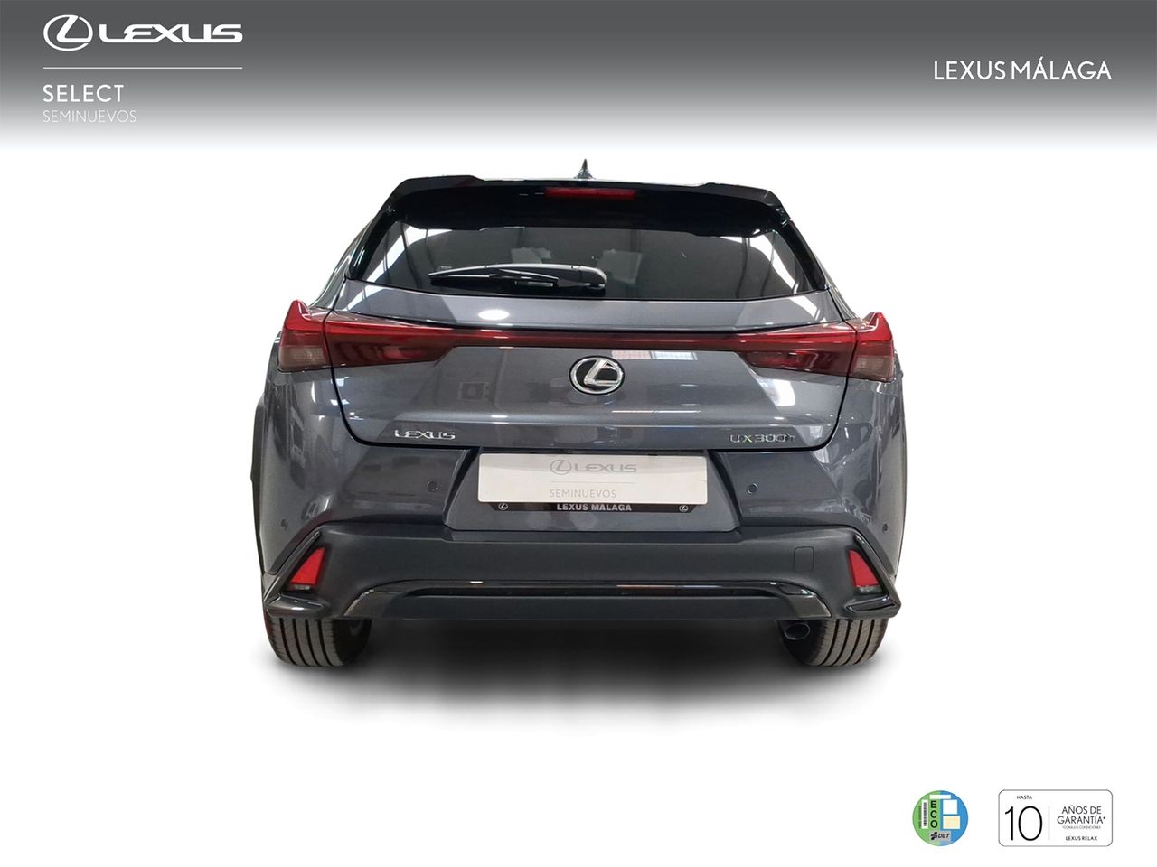 Lexus UX 300h F Sport Legend  - Foto 5