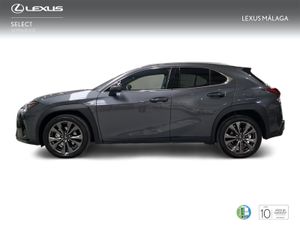 Lexus UX 300h F Sport Legend  - Foto 4
