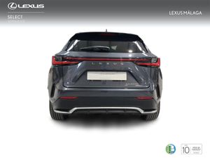 Lexus NX 450h+ F Sport 4WD  - Foto 5