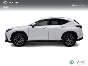 Lexus NX 450h+ Premium+ 4WD  - Foto 4