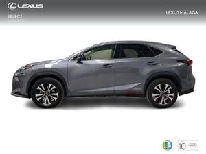 Lexus NX 2.5 300h Premium 2WD  - Foto 4