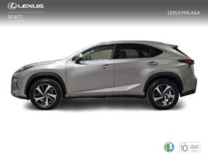 Lexus NX 2.5 300h Luxury 4WD  - Foto 4