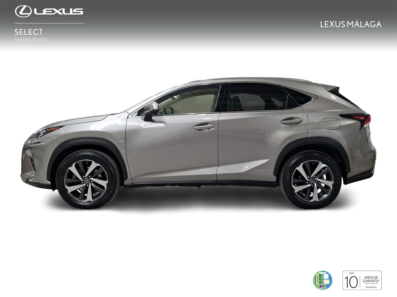 Lexus NX 2.5 300h Luxury 4WD  - Foto 4
