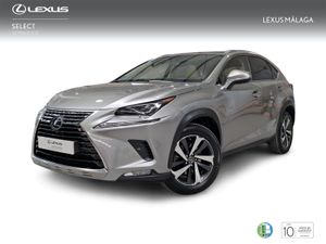 Lexus NX 2.5 300h Luxury 4WD  - Foto 2