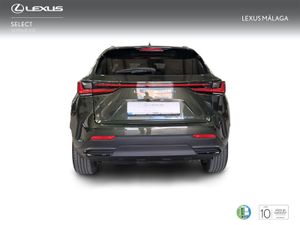 Lexus NX 350h Executive 4WD  - Foto 5