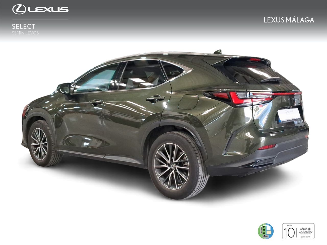 Lexus NX 350h Executive 4WD  - Foto 3