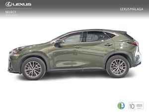 Lexus NX 350h Executive 4WD  - Foto 4