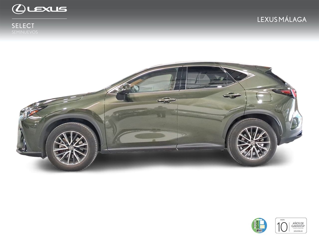 Lexus NX 350h Executive 4WD  - Foto 4