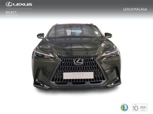 Lexus NX 350h Executive 4WD  - Foto 6