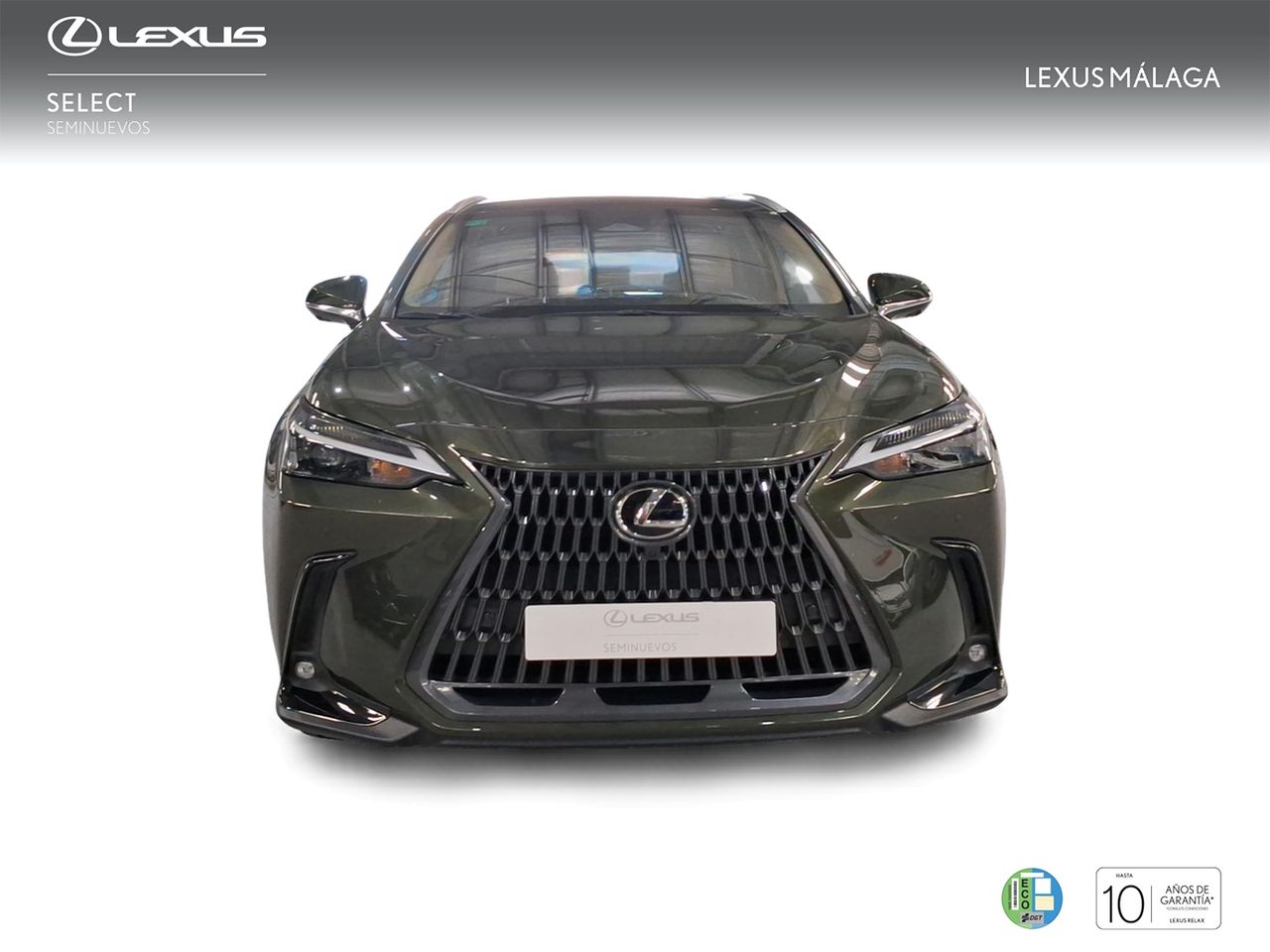 Lexus NX 350h Executive 4WD  - Foto 6