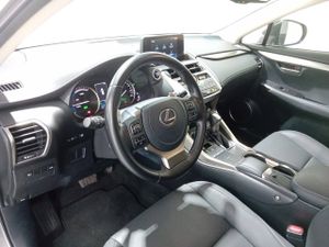 Lexus NX 2.5 300h Business 2WD  - Foto 9