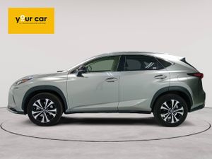 Lexus NX 2.5 300h Business 2WD  - Foto 5