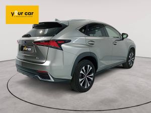 Lexus NX 2.5 300h Business 2WD  - Foto 7