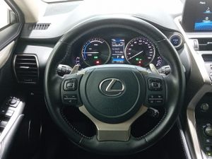 Lexus NX 2.5 300h Business 2WD  - Foto 10