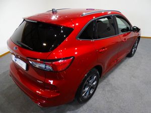 Ford Kuga 2.0 EcoBlue MHEV 110kW (150CV) ST-Line X  - Foto 8