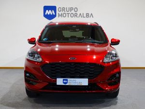 Ford Kuga 2.0 EcoBlue MHEV 110kW (150CV) ST-Line X  - Foto 5