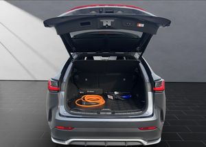 Lexus NX F Sport   - Foto 17