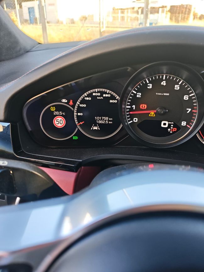 Porsche Cayenne Platinum Edition  - Foto 20